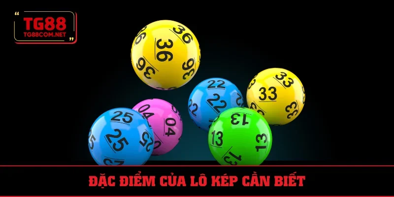 Đặc điểm chung của loại hình lô kép